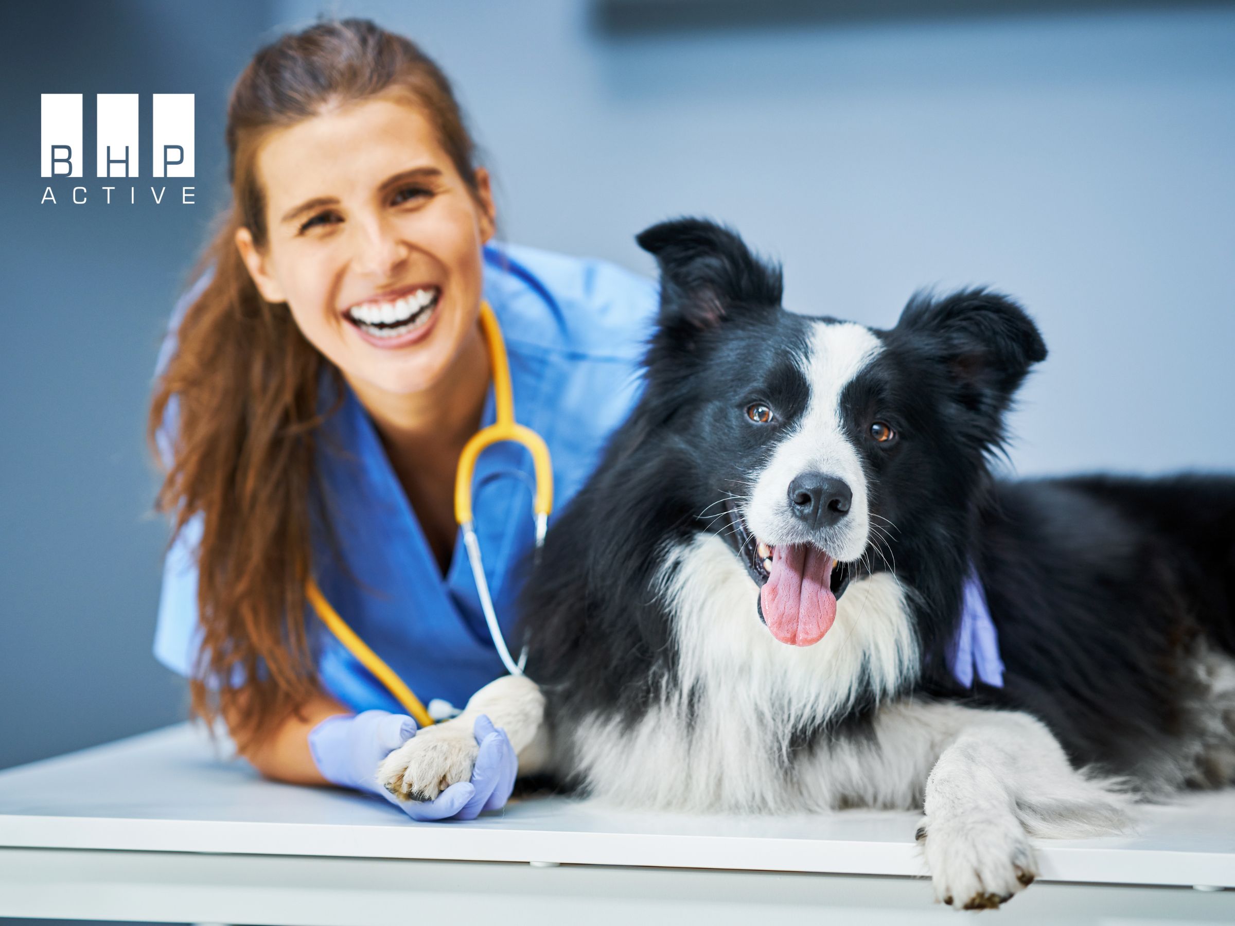 Szkolenie okresowe BHP dla lekarzy weterynarii i techników weterynarii